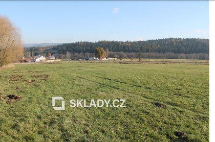 Prodej komerčního pozemku 25 000 m², Kynšperk nad Ohří