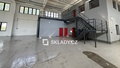Pronájem skladu 5 100 m², Dolní Řasnice