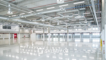Pronájem skladu 8 000 m², Blatná
