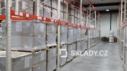 Pronájem skladu 5 000 m², Těšovice