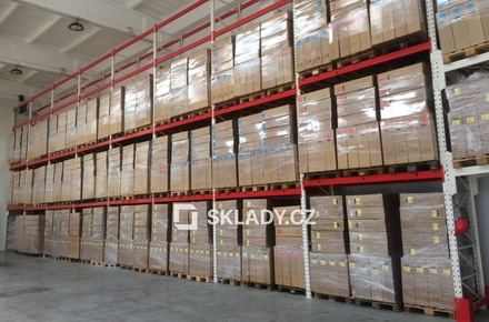 Pronájem skladu 5 000 m², Těšovice