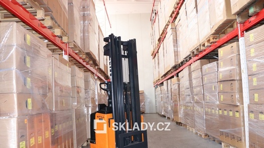 Pronájem skladu 5 000 m², Těšovice