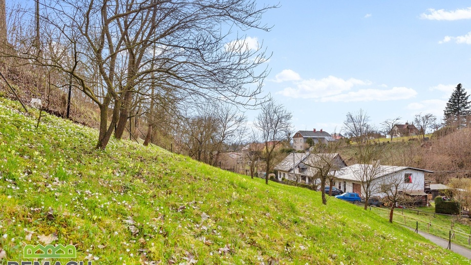 Prodej pozemky pro bydlení, 1 413 m² - Police nad Metují - Velká Ledhuje