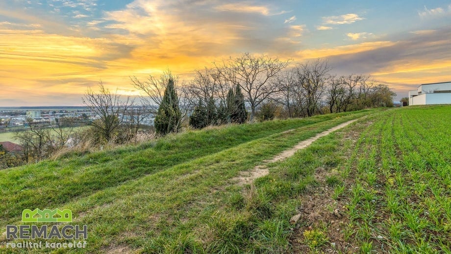 Prodej sady a vinice, 750 m² - Uherské Hradiště - Sady