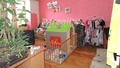 Prodej památky 450 m², Jihlava