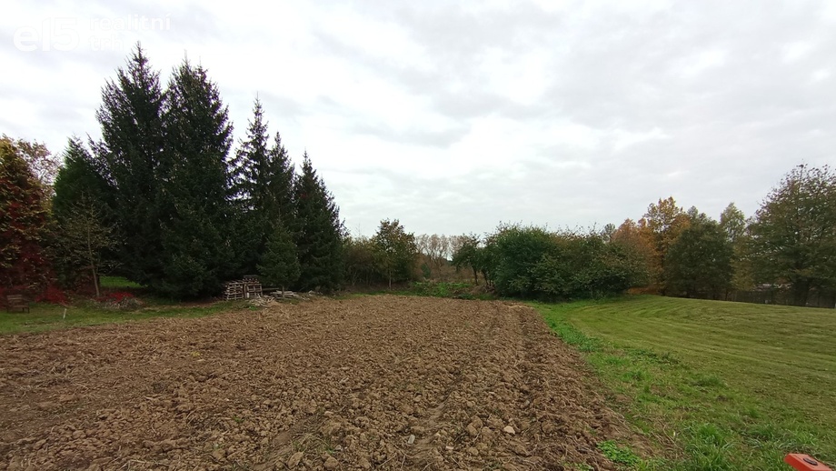 Prodej pozemky pro bydlení, 10 102 m² - Všesulov