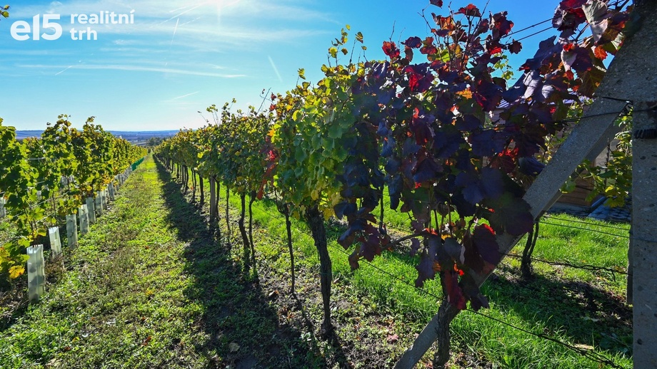 Prodej sady a vinice, 717 m² - Hovorany