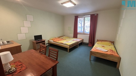 Pronájem bytu 1+kk 30 m², Dačice III