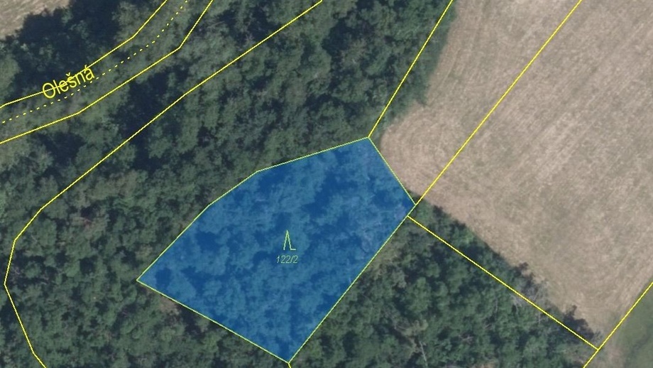 Prodej lesa 1 620 m², Rouchovany