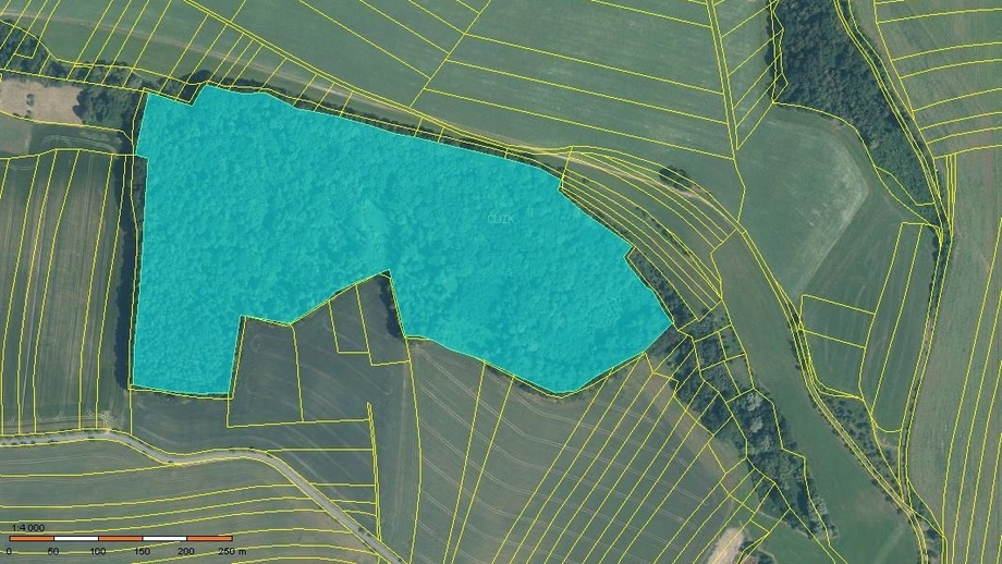 Prodej lesy, 1 585 m² - Zámrsky