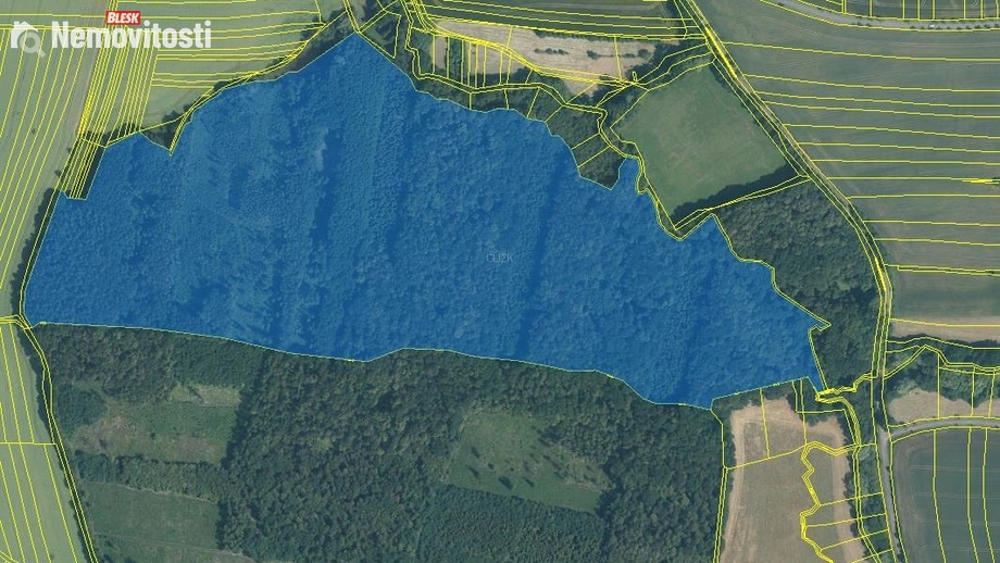 Prodej lesa 2 770 m², Skalička