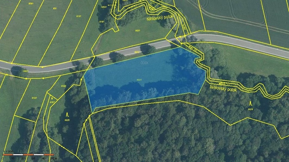 Prodej lesy, 3 864 m² - Horní Těšice