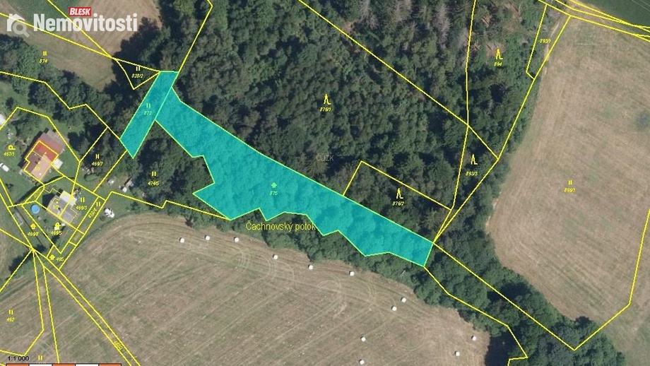 Prodej lesa 1 296 m², Pustá Kamenice