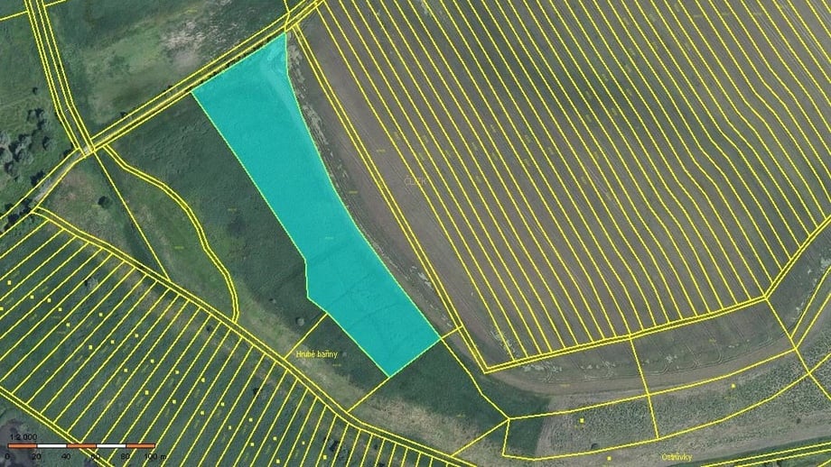 Prodej zemědělská půda, 11 646 m² - Krumvíř