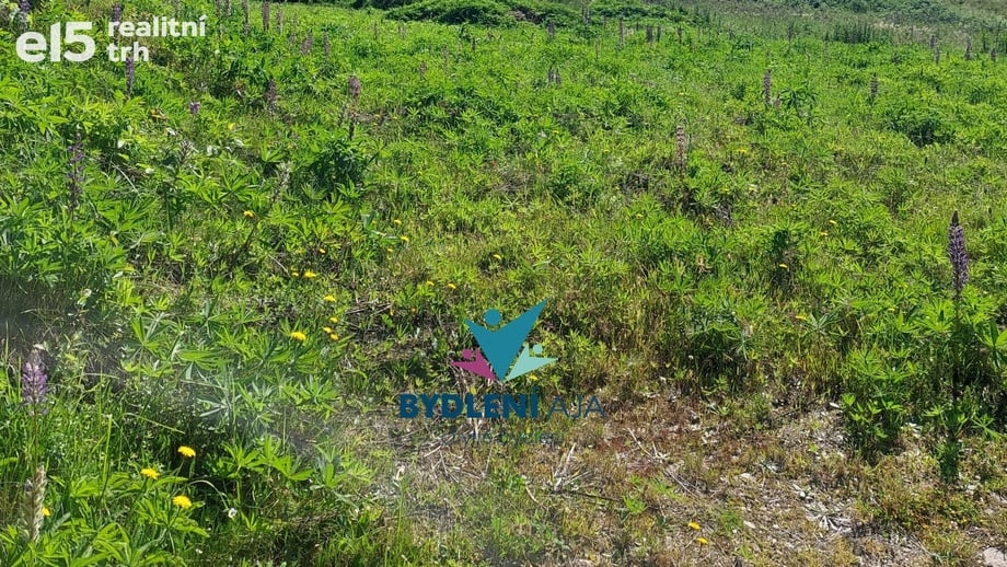 Prodej stavebního pozemku 2 000 m², Osek - Dlouhá Louka