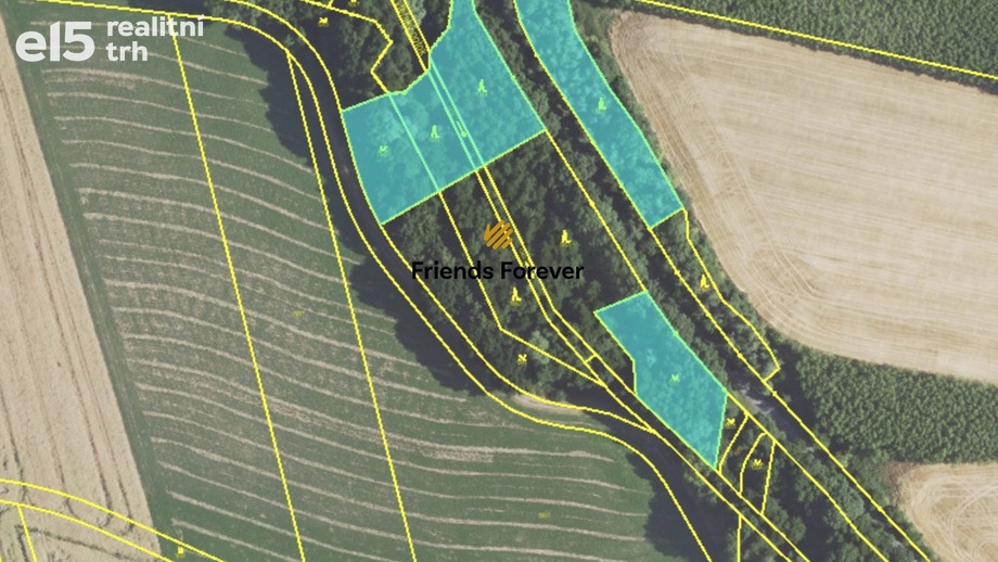 Prodej lesa 6 622 m², Panoší Újezd