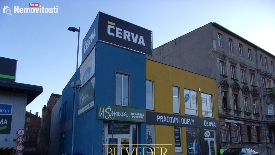 Prodej obchodního prostoru 770 m², Teplice