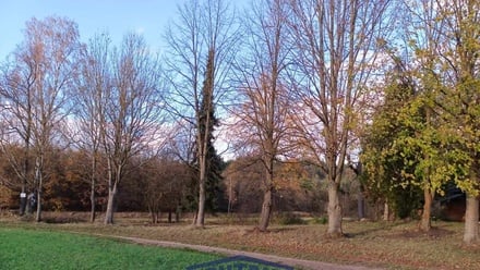 Prodej stavebního pozemku 986 m², Heřmaň