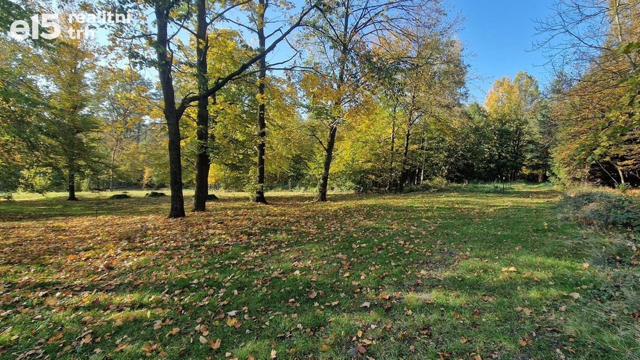 Prodej lesy, 29 217 m² - Staříč