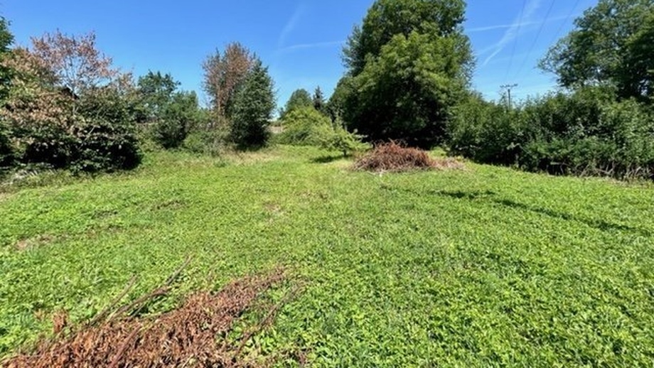 Prodej stavebního pozemku 2 088 m², Bor - Kurojedy