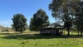 Prodej vícegeneračního domu 725 m², Bor - Kosov