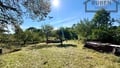 Prodej vícegeneračního domu 725 m², Bor - Kosov