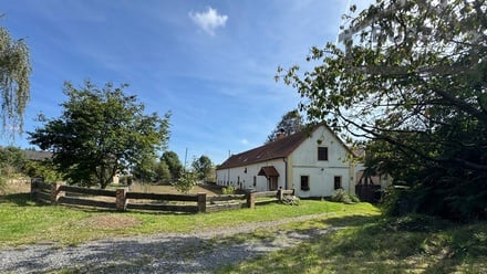 Prodej vícegeneračního domu 725 m², Bor - Kosov