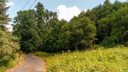 Prodej stavebního pozemku 2 870 m², Dětmarovice - Koukolná