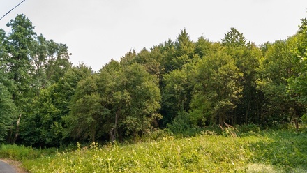 Prodej stavebního pozemku 2 870 m², Dětmarovice - Koukolná