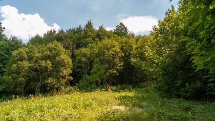 Prodej stavebního pozemku 2 870 m², Dětmarovice - Koukolná