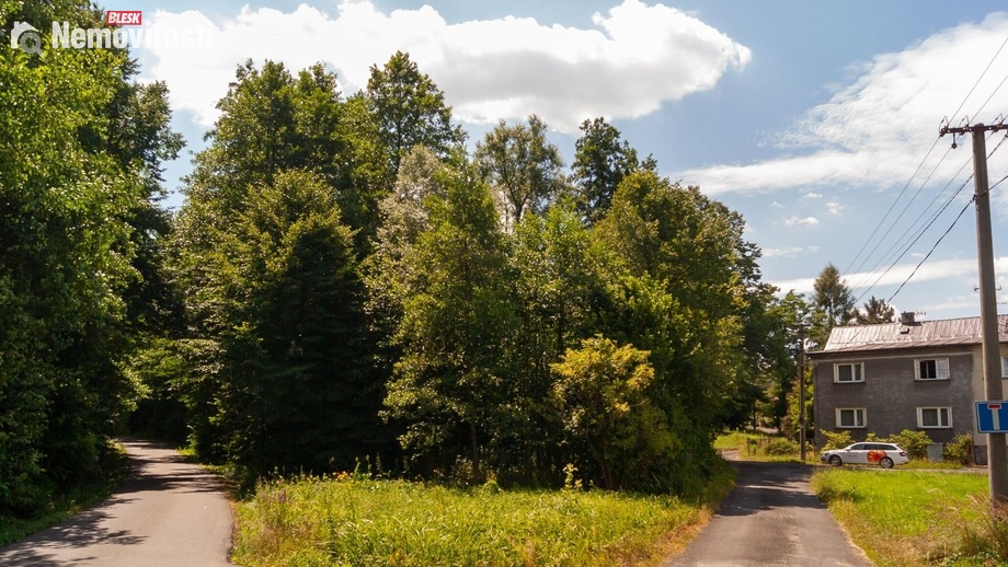 Prodej stavebního pozemku 2 870 m², Dětmarovice - Koukolná