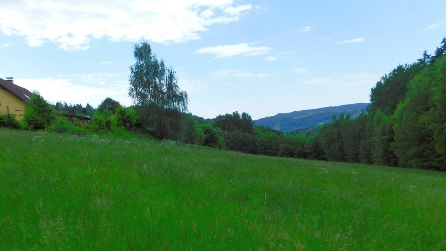 Prodej louky 12 565 m², Semily