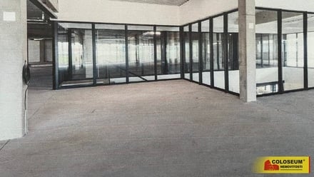 Pronájem komerční nemovitosti 1 400 m², Brno - Brněnské Ivanovice