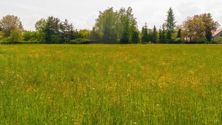 Prodej stavebního pozemku 4 501 m², Karviná