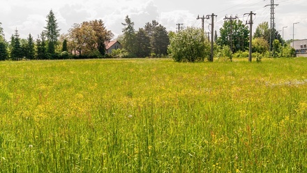 Prodej stavebního pozemku 4 501 m², Karviná