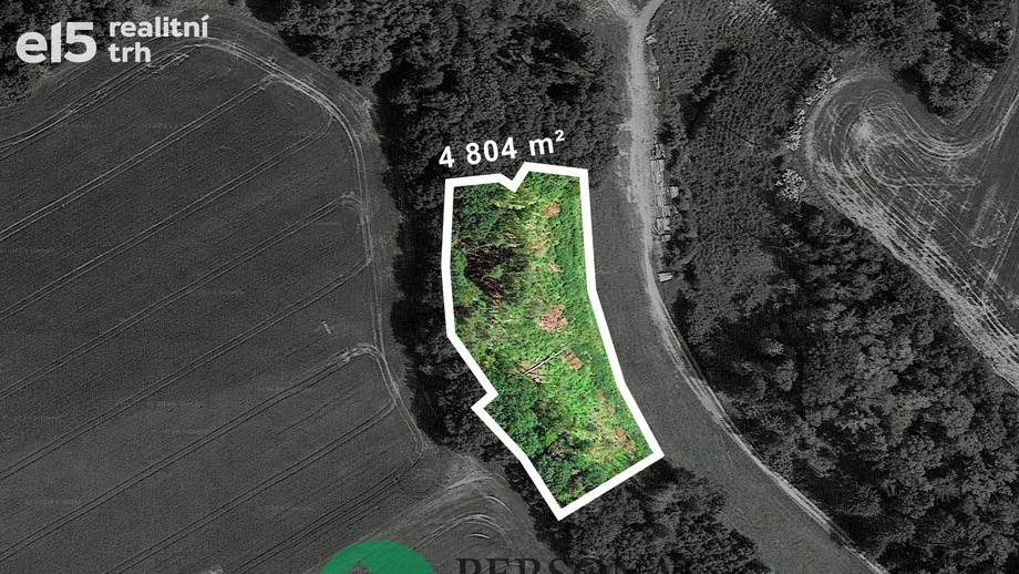 Prodej lesy, 4 804 m² - Mšeno