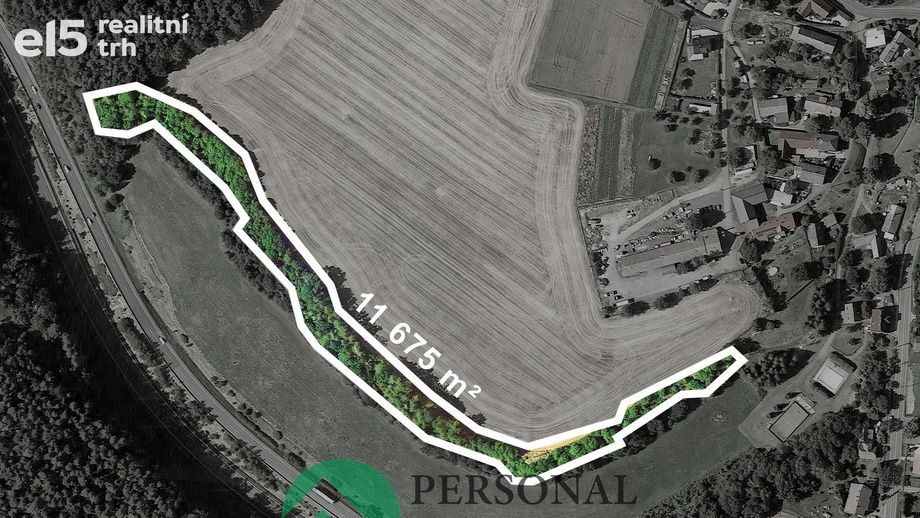 Prodej lesy, 11 675 m² - Hodkovice nad Mohelkou - Žďárek