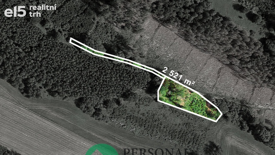 Prodej lesy, 3 734 m² - Nosálov