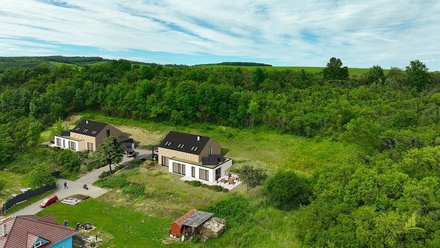 Prodej stavebního pozemku 2 900 m², Horní Bojanovice