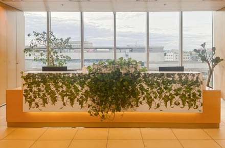 Pronájem virtuální kanceláře 5 m², Praha - Nusle