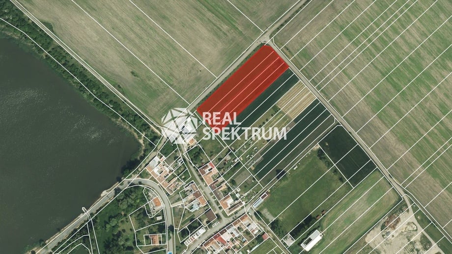 Prodej zemědělská půda, 6 506 m² - Branišovice