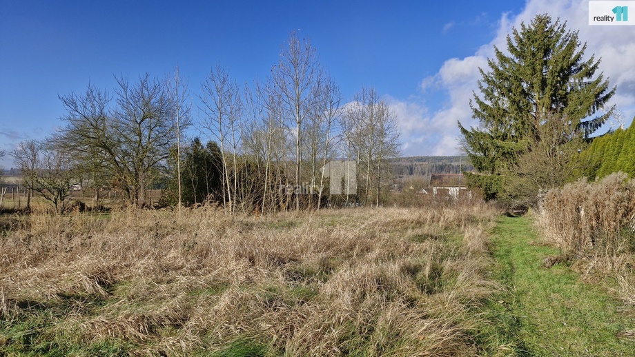 Prodej pozemky - trvalý travní porost, 1 669 m² - Dalovice