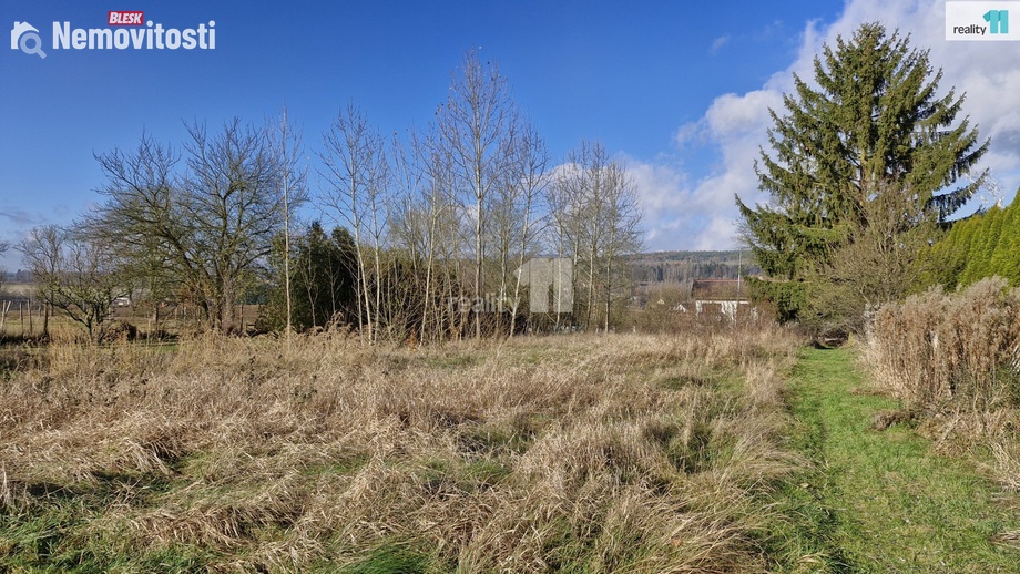 Prodej louky 1 669 m², Dalovice