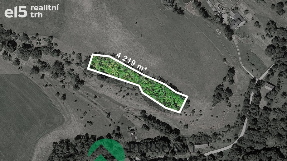 Prodej lesy, 4 219 m² - Čermná