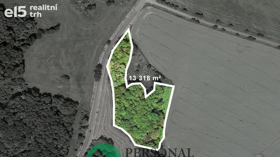 Prodej lesy, 13 318 m² - Blíževedly