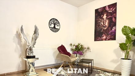 Prodej rodinného domu 300 m², Nemochovice