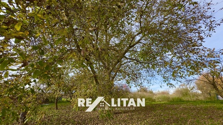 Prodej rodinného domu 300 m², Nemochovice