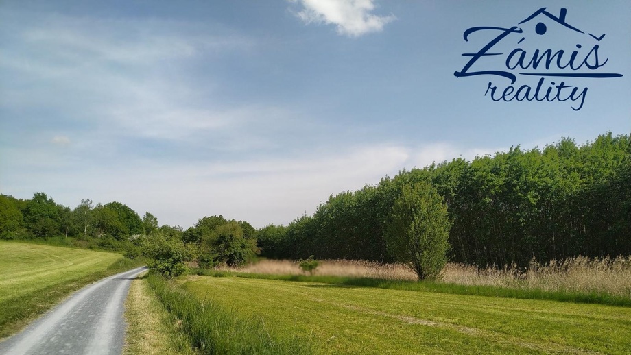 Prodej sady a vinice, 43 712 m² - Kačice