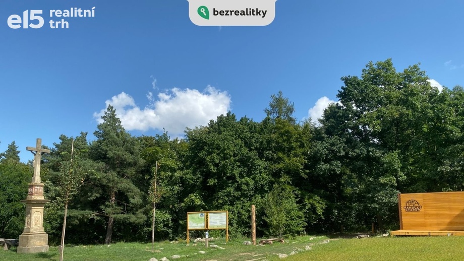 Prodej lesa 1 803 m², Prostějov - Domamyslice