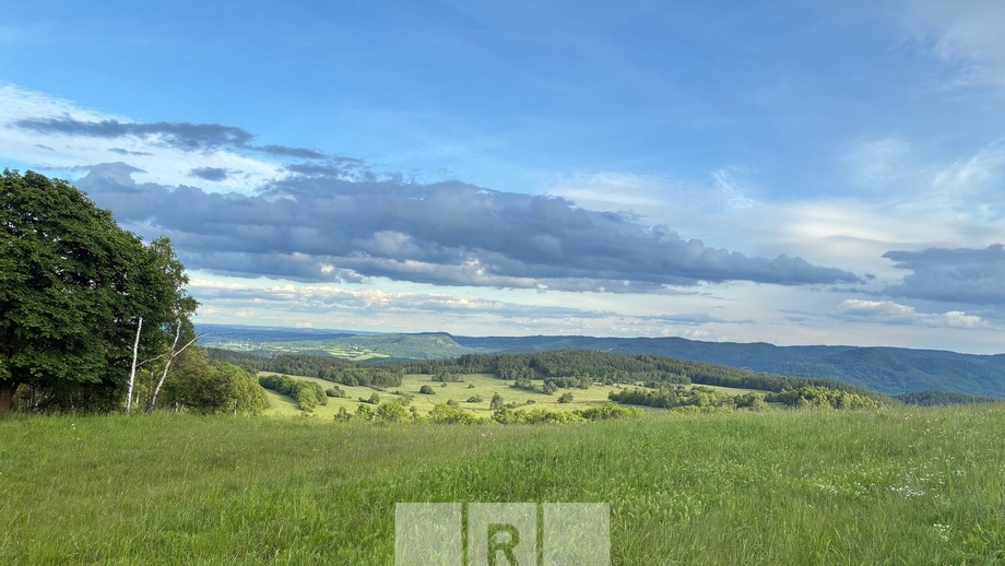 Prodej pozemky - trvalý travní porost, 421 000 m² - Domašín